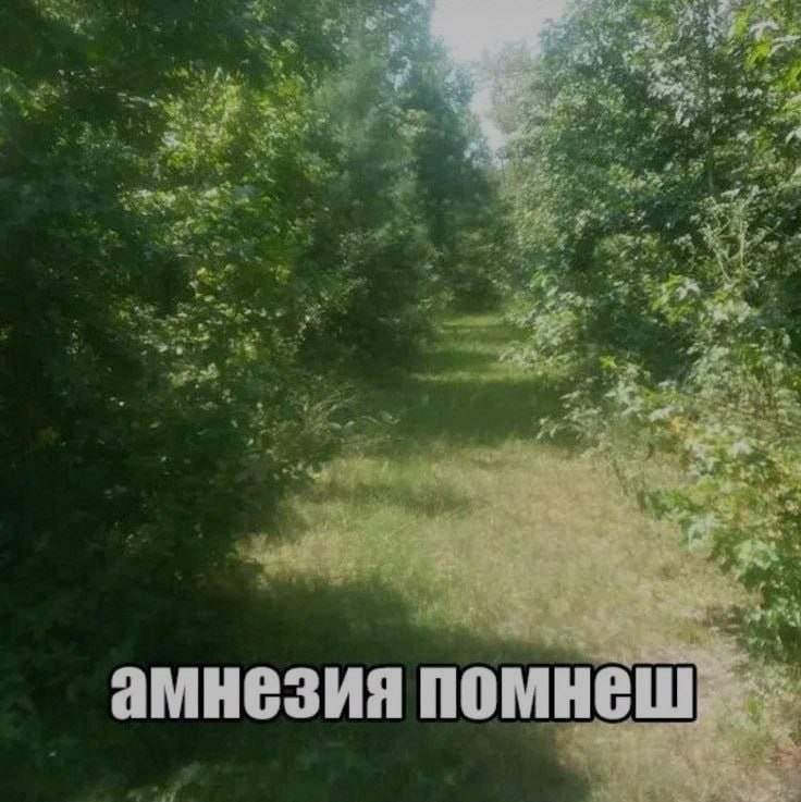 Ночная подборочка
Спать, режим
