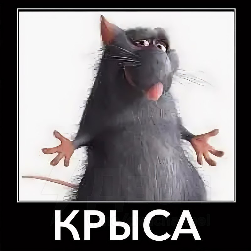 Тянки: знакомься это Света, Марина, Вика
Парни: знакомься это…