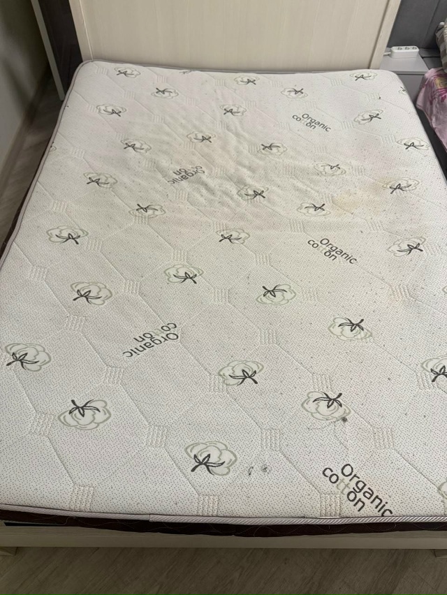 Отдам за вкусняшку . Самовывоз