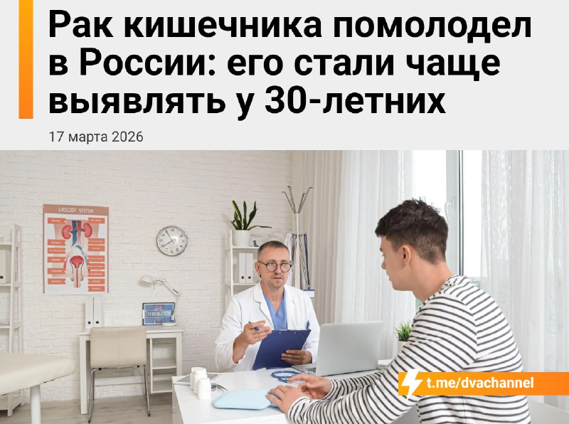 У россиян всё чаще находят рак кишечника в молодом возрасте, рассказали онкологи
Болезнь стала акти