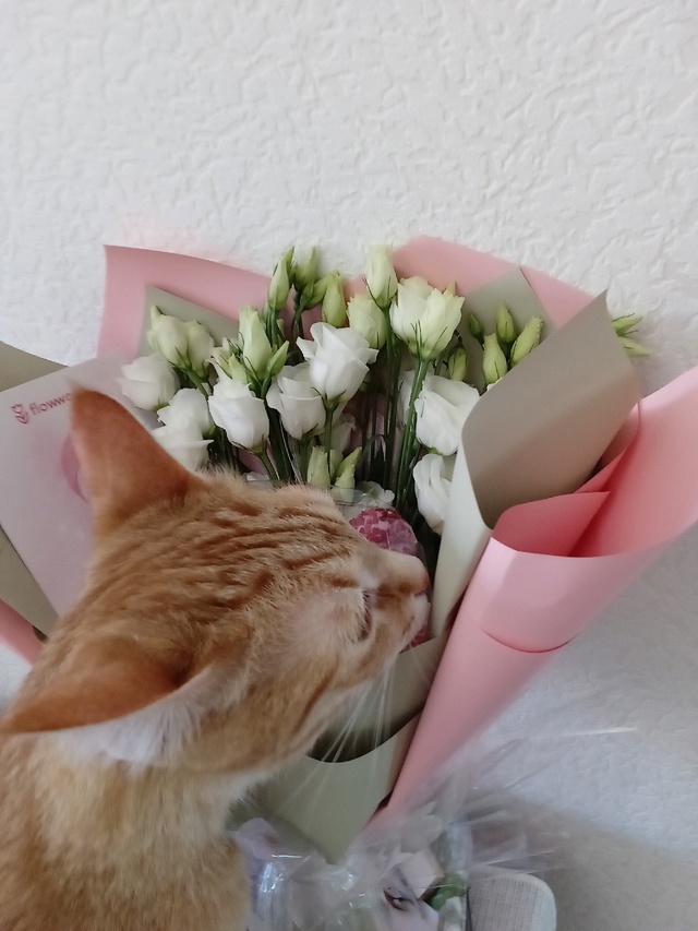 Тимошка и букетик💐🥰🌷