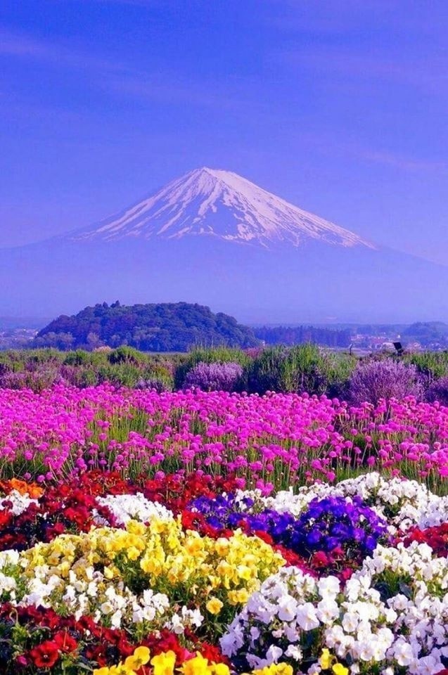 А вокруг такая красота!