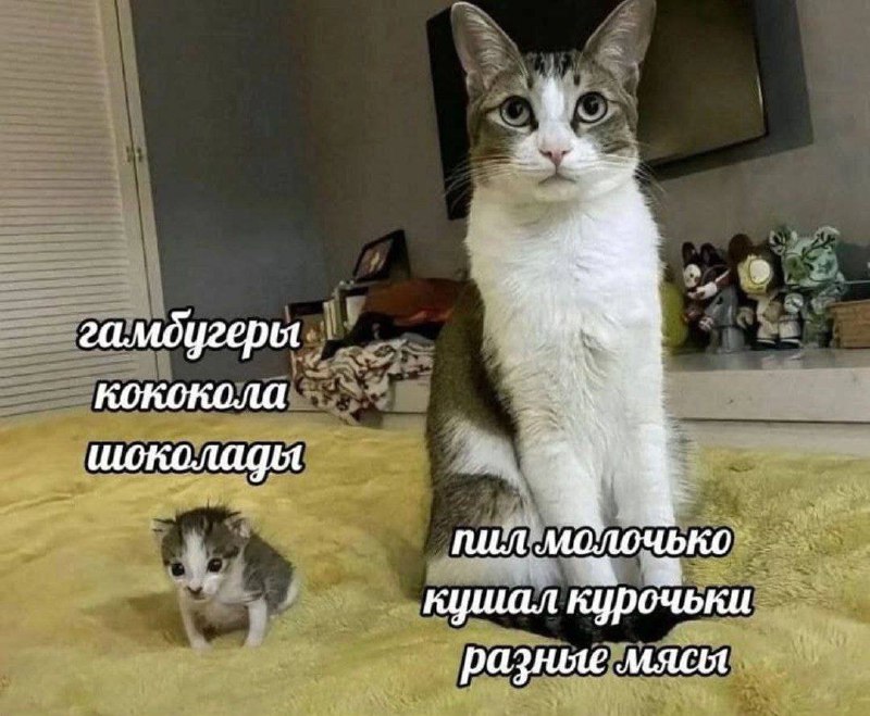 Утренняя подборочка