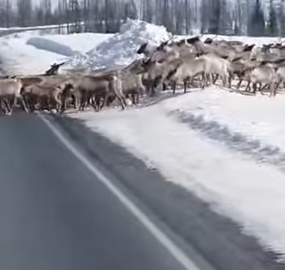 Это самое завораживающее зрелище, что может увидеть че...