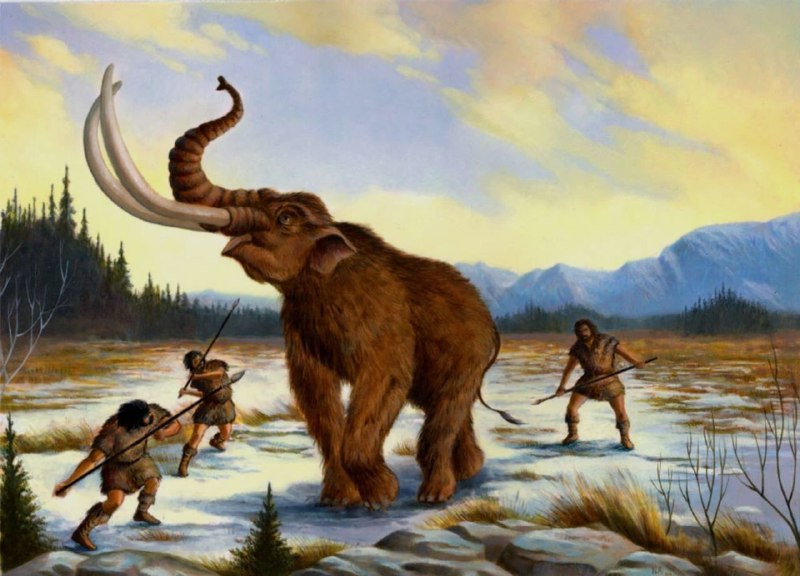 Дуров, Рогозов и Штотц проводят работу с институцианальными американскими инвесторами