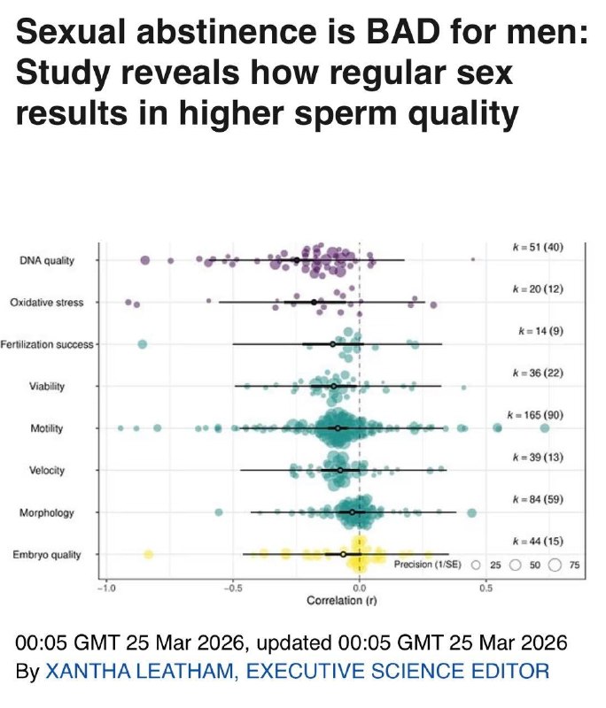 Воздержание от секса убивает мужское здоровье, заявили учёные Оксфорда.
Если слишком долго копить,