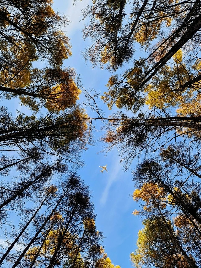 Дoбpoe утpo, дpузья! Отличнoгo вaм дня и хopoшeгo нacтpoeния!