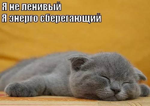 🦥 Сегодня отмечается День русской лени
Отправь тому, для кого это профессиональный праздник)