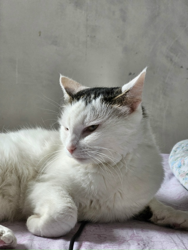 Ну штош, я считаю, что я ебанько, а мне сказали, что я с д?...