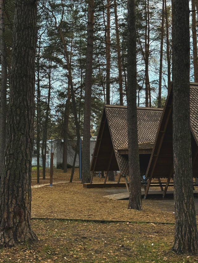 Парк «Сказка» в г. Протвино
Фото : Виты Осиной