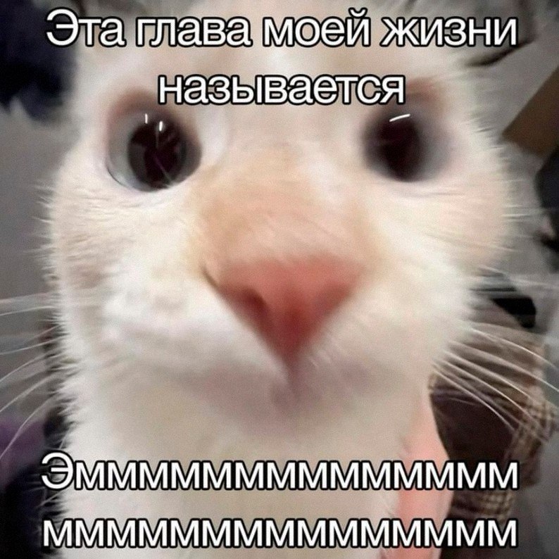 Утренняя подборочка
