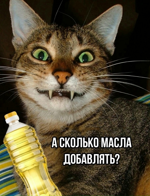 Когда съехал от родителей