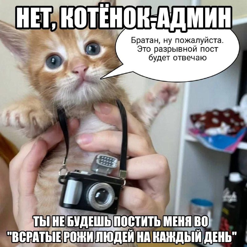 Утренняя подборочка