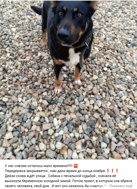 Пост добра. Расспростарните, пожалуйста.