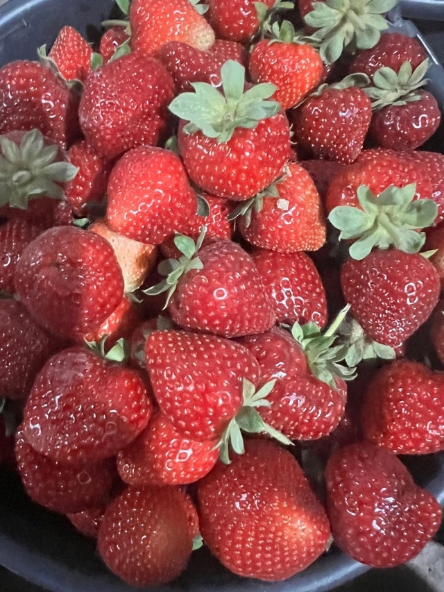 🍓⚠🍓⚠🍓⚠🍓⚠ Жители города Лангепас!!!понедельник в?...