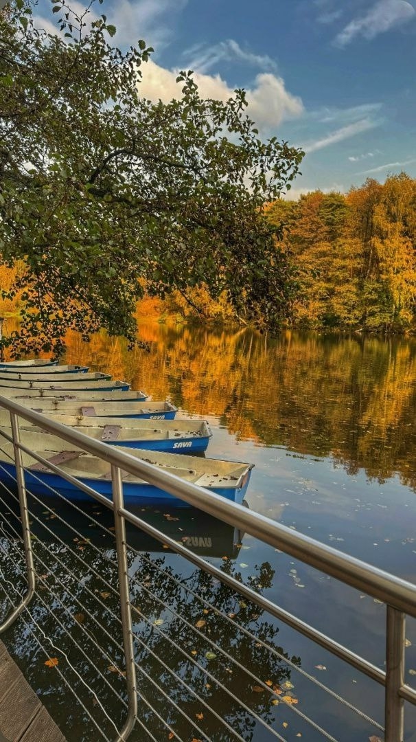 ОСЕНЬ В ПАРКЕ ПЕХОРКА 😊