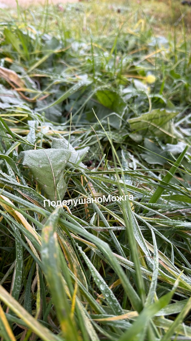 ⚡️⚡️До +7 на этой неделе, практически без дождей❤️