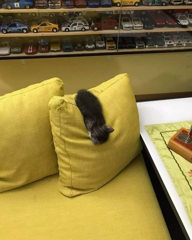 Где устал, там и упал😂