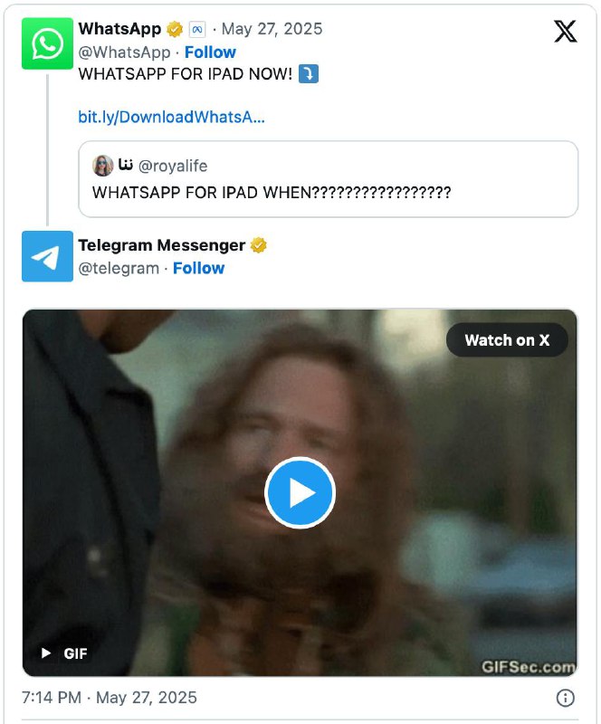 WhatsApp спустя 16 лет выпустил приложение для iPad — Telegram ответил на новость мемом «какой сейча