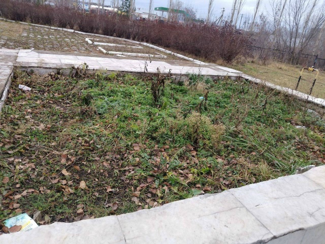 Помним, любим, скорбим.
Пришел к касевскому вечному ог?...