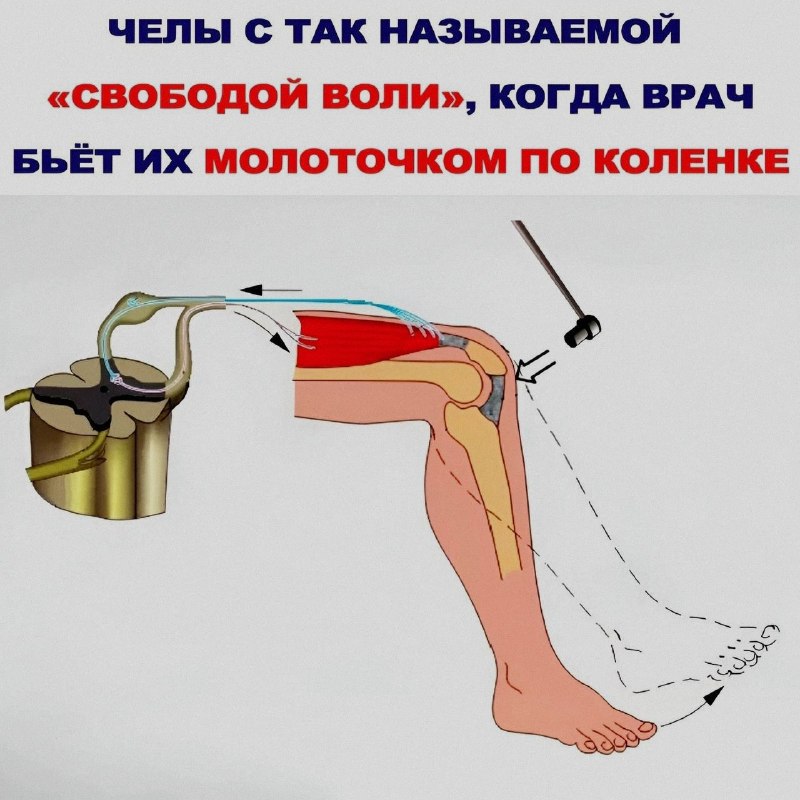 Ночная подборочка
Спать, режим