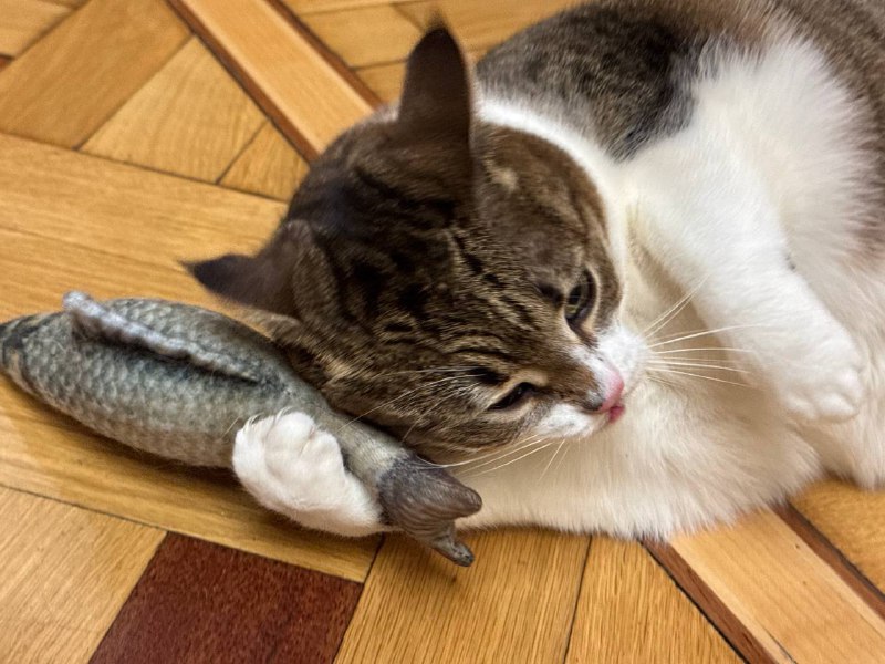 Алло да да слушаю да