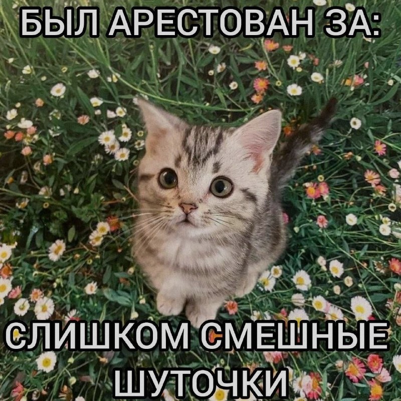 Ночная подборочка
Спать, режим