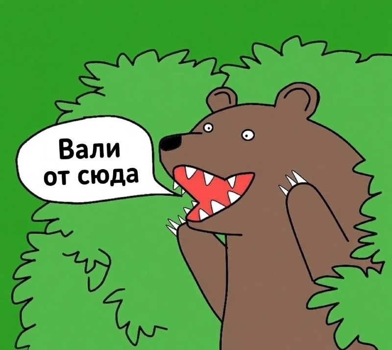 Нашествие медведей в Сибири вынуждает людей покидать целые деревни.
В Томской области малые населё