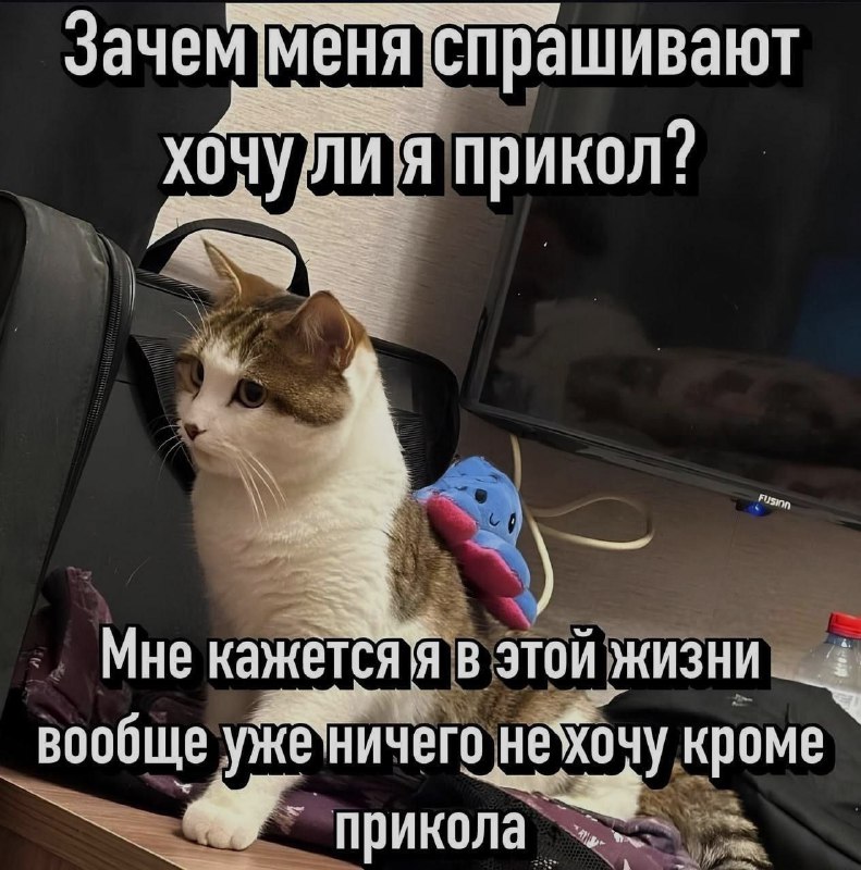 Ночная подборочка
Спать, режим