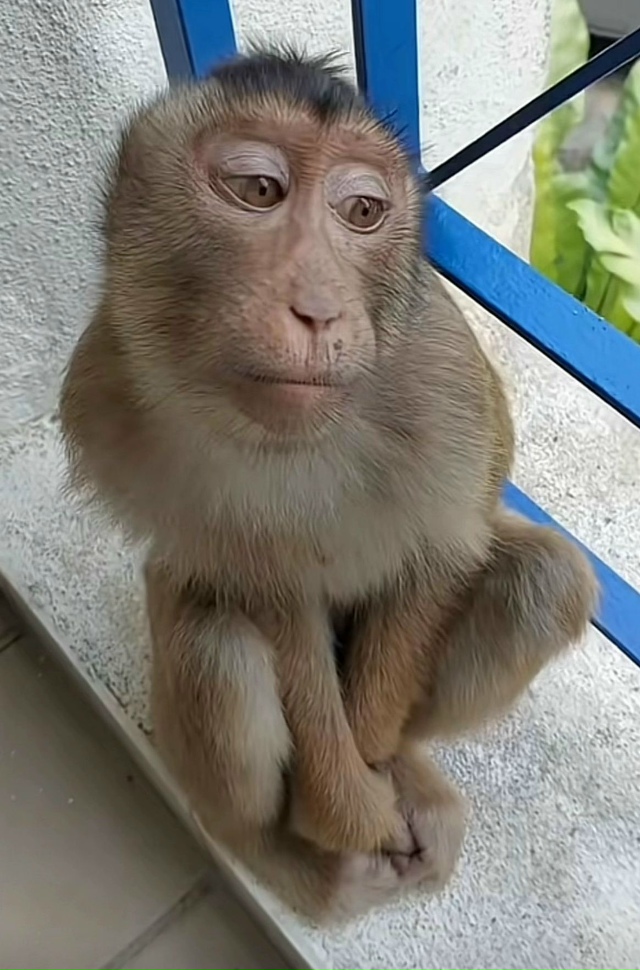 Настоящий мужчина