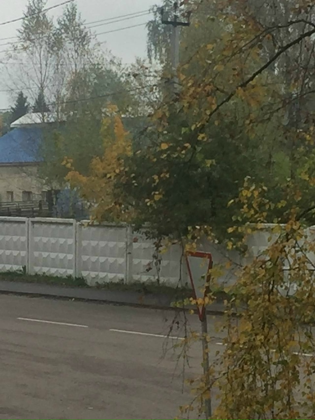 Здравствуйте!
Можно как-то повлиять на руководство АО ...