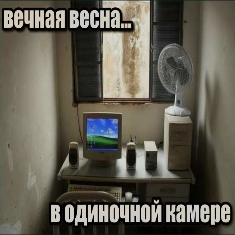 Ночная подборочка
Спать, режим