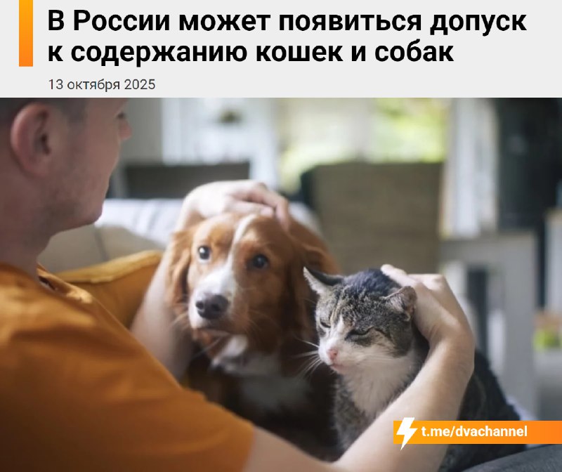 ⚡️Домашние кошки и собаки В С Ё: в России хотят ввести допуск на кошек и собак — Минприроды готовит
