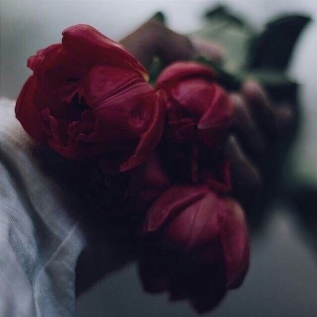 Чистая совесть ни лжи не боится, ни слухов, ни сплетен.