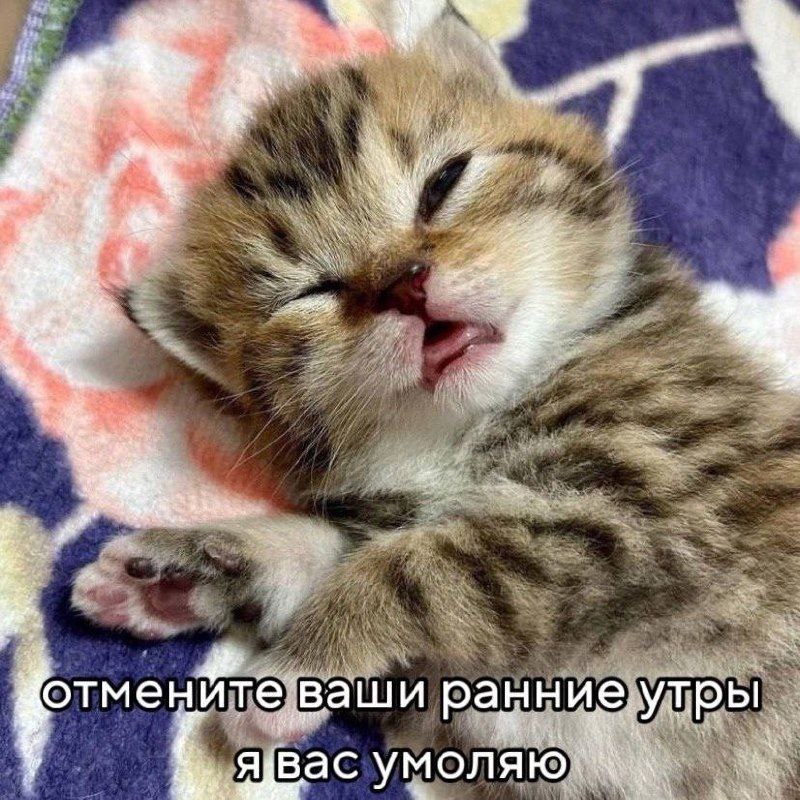 Утренняя подборочка