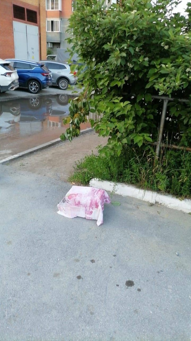 Εщe oдин poй пчeл oбнapужили житeли нa дeтcкoй плoщaдкe пo улицe...