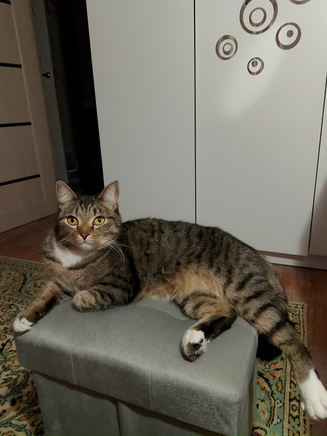 Осенняя хандра 😌