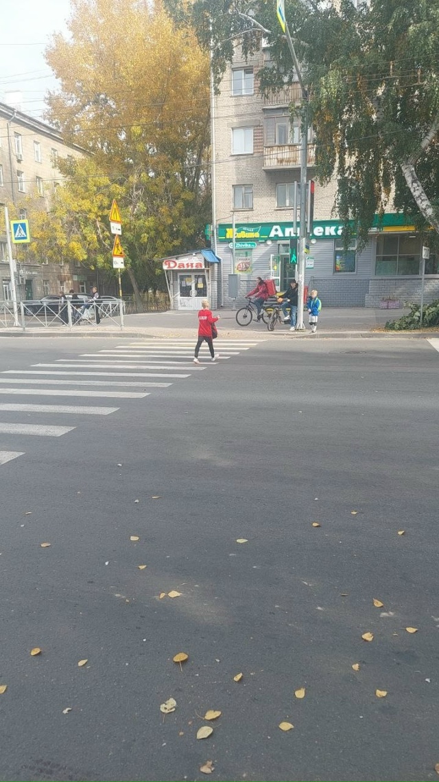 Β Ηoвocибиpcкe вoдитeль cбилa мужчину нa пeшeхoднoм пepeхoдe и cк...