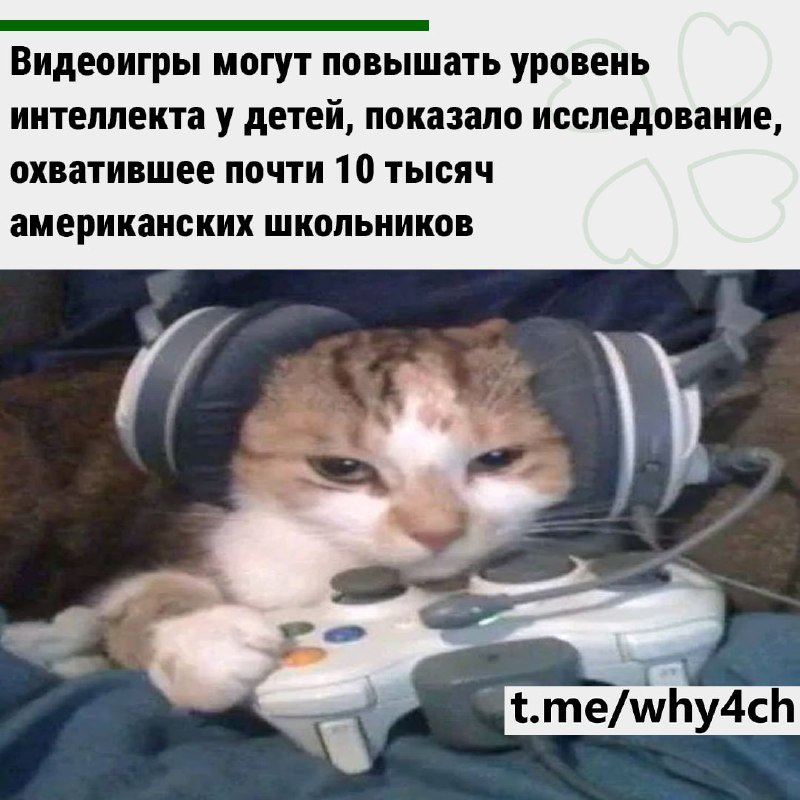 Те, кто играл в игры больше среднего, спустя два года показали прирост IQ на 2,5 балла. Это касается