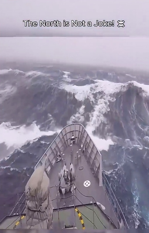 Пережить в ледяных водах Северного моря — задача непр?...