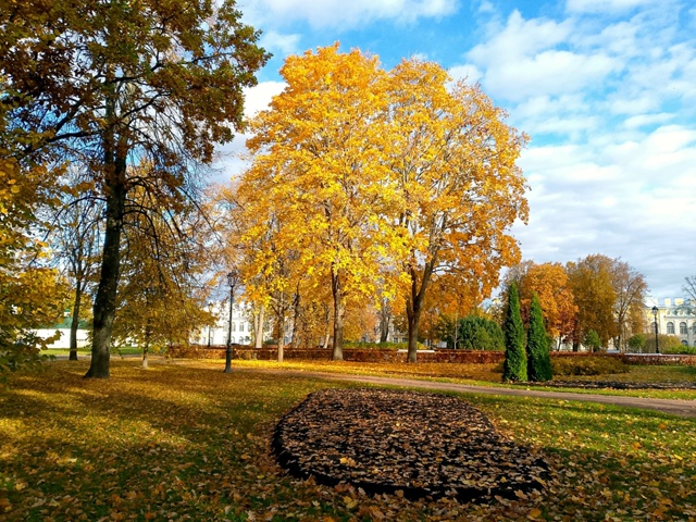 Петергоф в середине октября