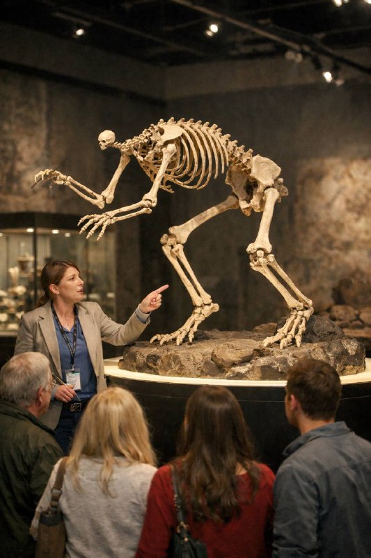 2126 год, музей археологии, скелет TON беливера.