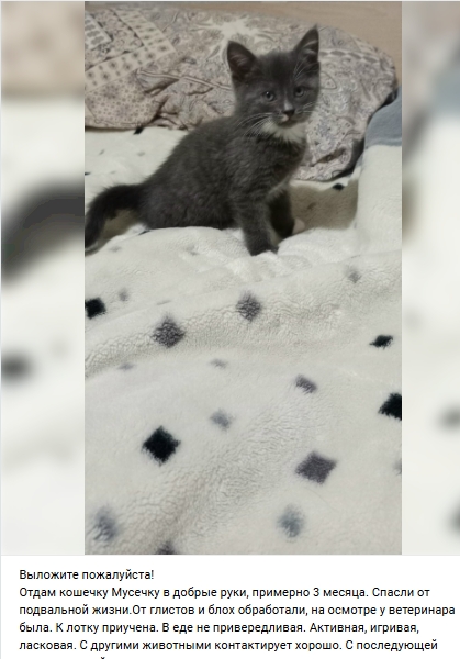 Пост добра. Распространите, пожалуйста.