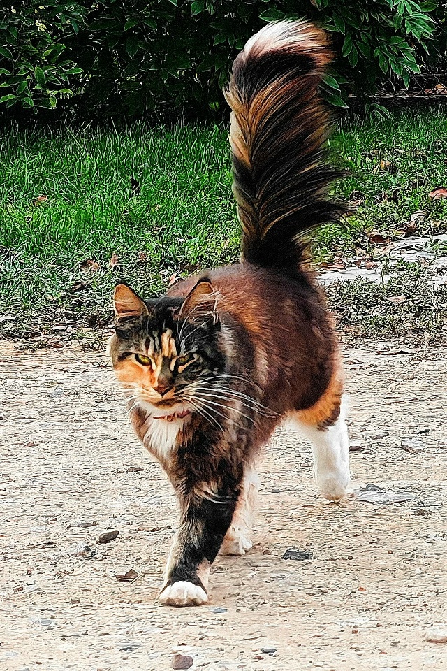 Золотые мгновения осени 🍁🍁🍁