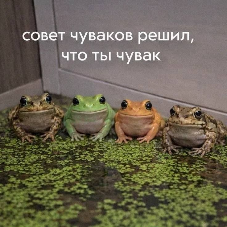Утренняя подборочка