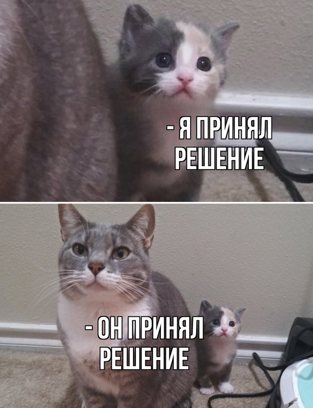 Да откуда вы такие беретесь