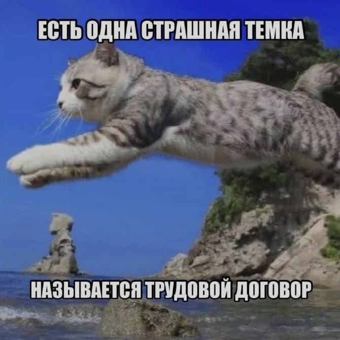 Ночная подборочка
Спать, режим