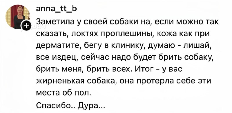 Заорал, обосрался и пустил слюни
Кожаные рассказали о самых бесполезных визитах к ветеринару. Кажда