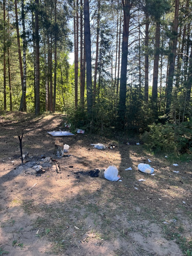Если люди так любят отдыхать на природе, то почему они ?...