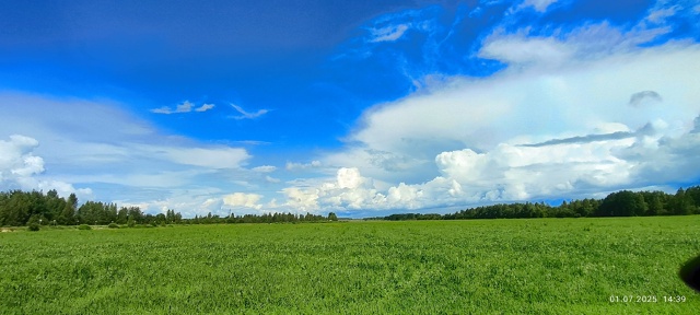 Частичка лета =) как прошло, успели отдохнуть и напитат?...